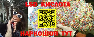 spice Моздок