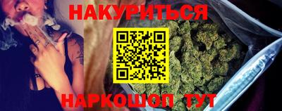 прущие грибы Можайск