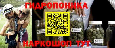 прущие грибы Можайск