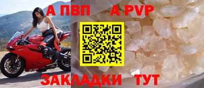 прущие грибы Можайск